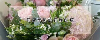 花店常见的花和配草,第1图