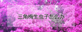 三角梅生虫子怎么办,第1图