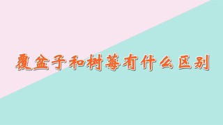 覆盆子和树莓有什么区别,第1图