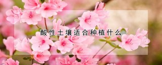 酸性土壤适合种植什么,第1图