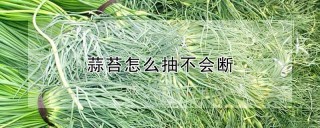 蒜苔怎么抽不会断,第1图