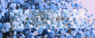 满天星撒多少粒种子,第1图