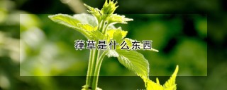 葎草是什么东西,第1图