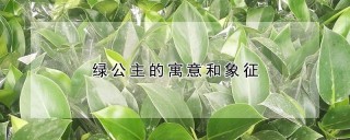 绿公主的寓意和象征,第1图