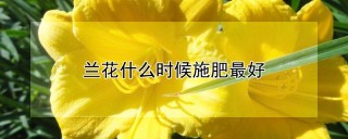 兰花什么时候施肥最好,第1图