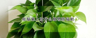 电脑桌上放什么植物防辐射,第1图