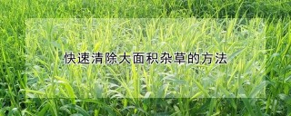 快速清除大面积杂草的方法,第1图