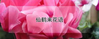 仙鹤来花语,第1图