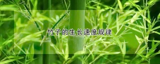 竹子的生长速度规律,第1图