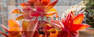 火祭怎么变红,第1图