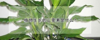 植物生长的三要素是什么?,第1图