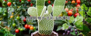 仙人掌移植方法和注意事项,第1图