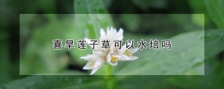 喜旱莲子草可以水培吗,第1图