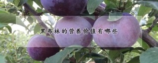 黑布林的营养价值有哪些,第1图