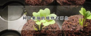 种子繁殖的植物有哪些,第1图