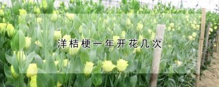 洋桔梗一年开花几次,第1图