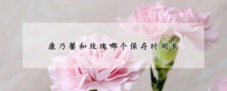 康乃馨和玫瑰哪个保存时间长,第1图