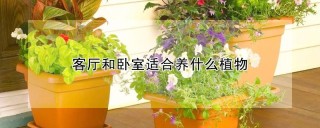 客厅和卧室适合养什么植物,第1图