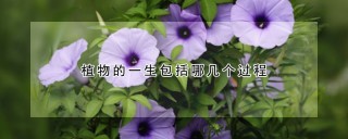 植物的一生包括哪几个过程,第1图