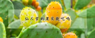 仙人掌的果实能吃吗,第1图