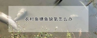 农村鱼塘鱼缺氧怎么办,第1图