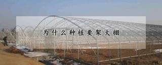 为什么种植要架大棚,第1图