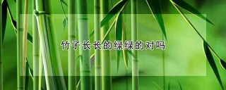 竹子长长的绿绿的对吗,第1图