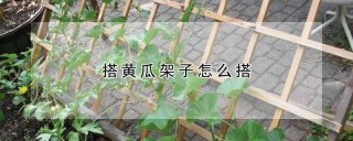 搭黄瓜架子怎么搭,第1图