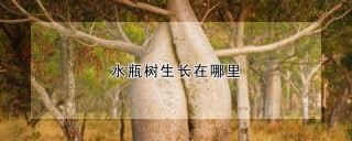 水瓶树生长在哪里,第1图