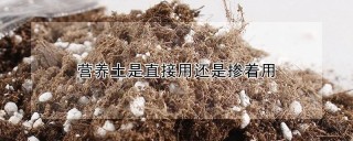 营养土是直接用还是掺着用,第1图