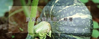 贝贝小南瓜留几根蔓,第1图