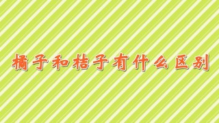 橘子和桔子有什么区别,第1图