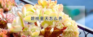 碧桃夏天怎么养,第1图