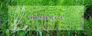 除草剂使用方法,第1图