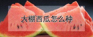 大棚西瓜怎么种,第1图