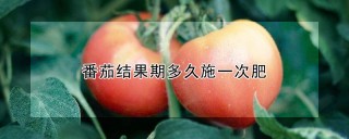 番茄结果期多久施一次肥,第1图