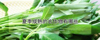 夏季成熟的农作物有哪些,第1图