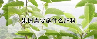 果树需要施什么肥料,第1图