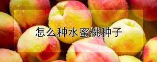 怎么种水蜜桃种子,第1图