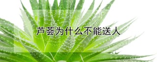 芦荟为什么不能送人,第1图