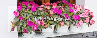 凤仙花移盆的方法,第1图