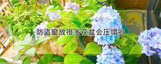 防盗窗放很多花盆会压塌吗,第1图