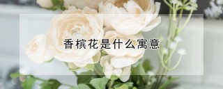 香槟花是什么寓意,第1图