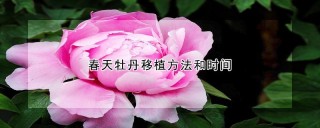 春天牡丹移植方法和时间,第1图