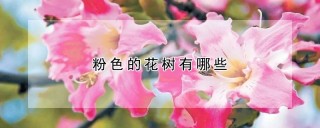 粉色的花树有哪些,第1图