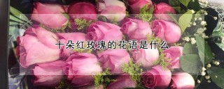 十朵红玫瑰的花语是什么,第1图