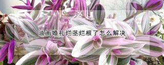 油画婚礼烂茎烂根了怎么解决,第1图