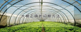 大棚正确的闷棚方法,第1图