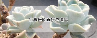 生根粉能直接浇灌吗,第1图