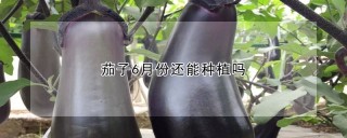 茄子6月份还能种植吗,第1图